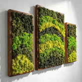 Dalga Dansı – 3’lü Reindeer Moss Tablo Seti