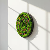 Spiral Form Moss Art – Moss & Kurutulmuş Çiçekli El Yapımı Duvar Dekoru