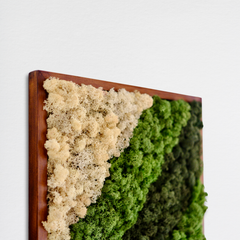 İskandinav Moss Art – Reindeer Moss ile El Yapımı Duvar Dekoru