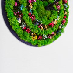 Spiral Form Moss Art – Moss & Kurutulmuş Çiçekli El Yapımı Duvar Dekoru
