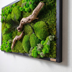 Doğaya Yolculuk – Yosun, Liken ve Ahşabın Hikâyesi