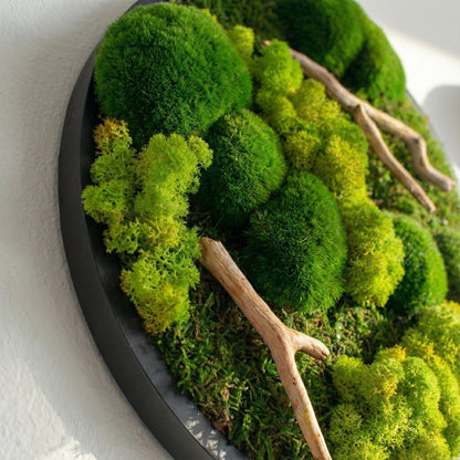 Driftwood Daire — Yuvarlak yosun ve ahşap tablo