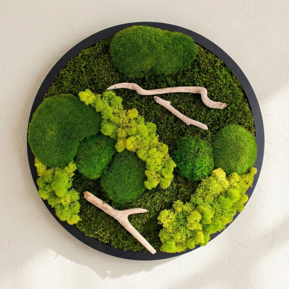 Driftwood Daire — Yuvarlak yosun ve ahşap tablo