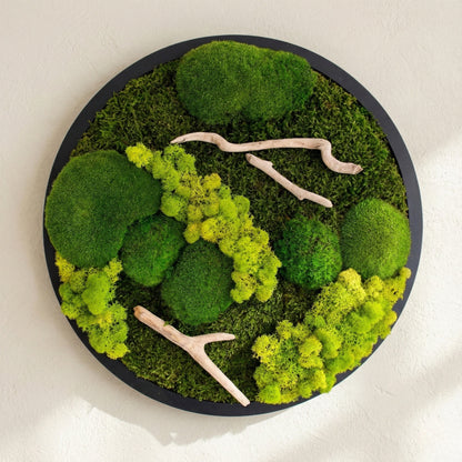 Driftwood Daire — Yuvarlak yosun ve ahşap tablo