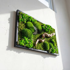 Doğaya Yolculuk – Yosun, Liken ve Ahşabın Hikâyesi