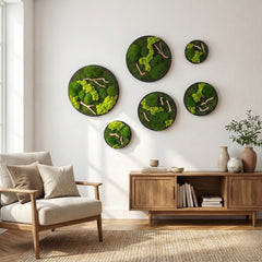 Drifwood Yuvarlak Moss Art – Ball Moss & Reindeer Moss ile El Yapımı Duvar Tasarımı