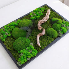 Doğaya Yolculuk – Yosun, Liken ve Ahşabın Hikâyesi