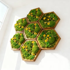 Hexagon Moss Art – Ball Moss, Reindeer Moss & Kurutulmuş Çiçekli El Yapımı Tasarım