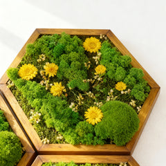 Hexagon Moss Art – Ball Moss, Reindeer Moss & Kurutulmuş Çiçekli El Yapımı Tasarım