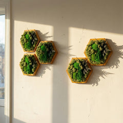 Ormanın Ruhu – El Yapımı Altıgen Tasarım