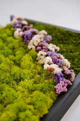 Akış Formu Moss Art – Flat Moss, Reindeer Moss & Kurutulmuş Çiçekli El Yapımı Tasarım