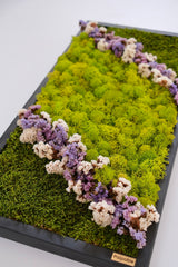 Akış Formu Moss Art – Flat Moss, Reindeer Moss & Kurutulmuş Çiçekli El Yapımı Tasarım
