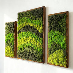 Dalga Dansı – 3’lü Reindeer Moss Tablo Seti