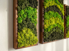 Dalga Dansı – 3’lü Reindeer Moss Tablo Seti