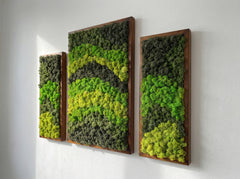 Dalga Dansı – 3’lü Reindeer Moss Tablo Seti