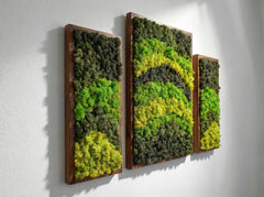 Dalga Dansı – 3’lü Reindeer Moss Tablo Seti