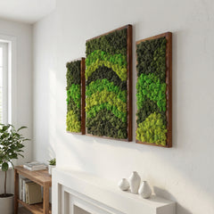 Dalga Dansı – 3’lü Reindeer Moss Tablo Seti