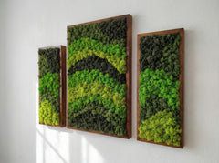 Dalga Dansı – 3’lü Reindeer Moss Tablo Seti