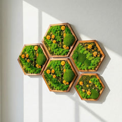 Hexagon Moss Art – Ball Moss, Reindeer Moss & Kurutulmuş Çiçekli El Yapımı Tasarım