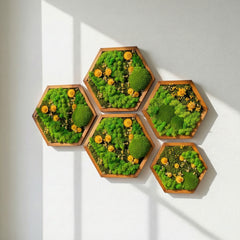 Hexagon Moss Art – Ball Moss, Reindeer Moss & Kurutulmuş Çiçekli El Yapımı Tasarım