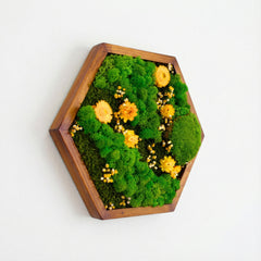 Hexagon Moss Art – Ball Moss, Reindeer Moss & Kurutulmuş Çiçekli El Yapımı Tasarım