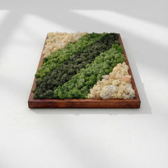 İskandinav Moss Art – Reindeer Moss ile El Yapımı Duvar Dekoru