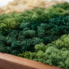 İskandinav Moss Art – Reindeer Moss ile El Yapımı Duvar Dekoru