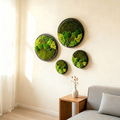 Yuvarlak Moss Art – Ball Moss, Flat Moss & Reindeer Moss ile El Yapımı Duvar Dekoru