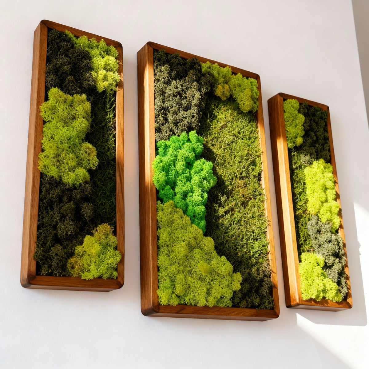 3’lü Stabilize Moss Art Seti – Moss & Liken ile El Yapımı Duvar Dekoru