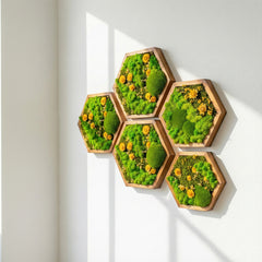 Hexagon Moss Art – Ball Moss, Reindeer Moss & Kurutulmuş Çiçekli El Yapımı Tasarım