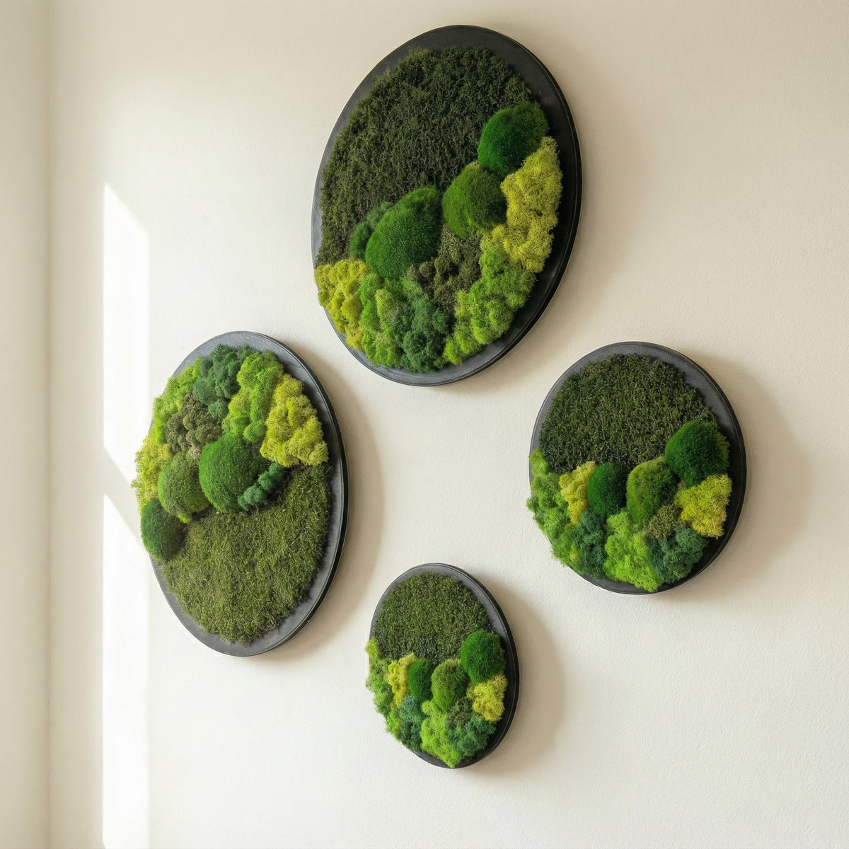 Yuvarlak Moss Art – Ball Moss, Flat Moss & Reindeer Moss ile El Yapımı Duvar Dekoru