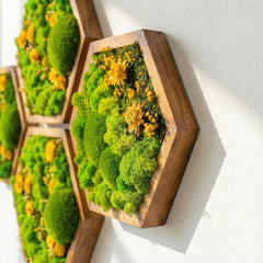 Hexagon Moss Art – Ball Moss, Reindeer Moss & Kurutulmuş Çiçekli El Yapımı Tasarım