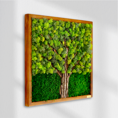 Ağaç Dokulu Moss Art – Liken & Wood ile El Yapımı Doğal Dekor