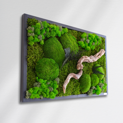 Doğaya Yolculuk – Yosun, Liken ve Ahşabın Hikâyesi