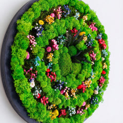 Spiral Form Moss Art – Moss & Kurutulmuş Çiçekli El Yapımı Duvar Dekoru