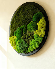 Yuvarlak Moss Art – Ball Moss, Flat Moss & Reindeer Moss ile El Yapımı Duvar Dekoru