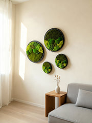 Yuvarlak Moss Art – Ball Moss, Flat Moss & Reindeer Moss ile El Yapımı Duvar Dekoru